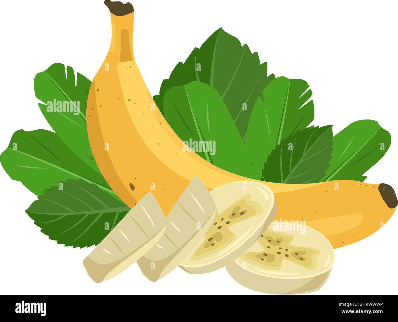 Set of sweet yellow whole and cutting banana with leaves. Delicious healthy exotic fruit. Vector flat food illustration Stock Vector