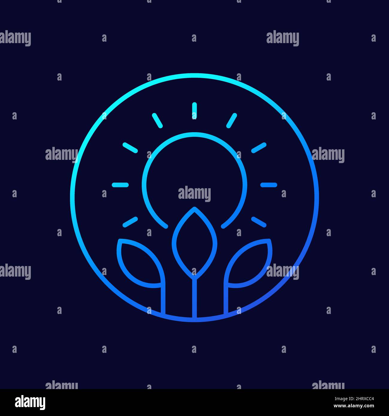 photosynthesis line icon with sun and plant Stock Vector Image & Art ...