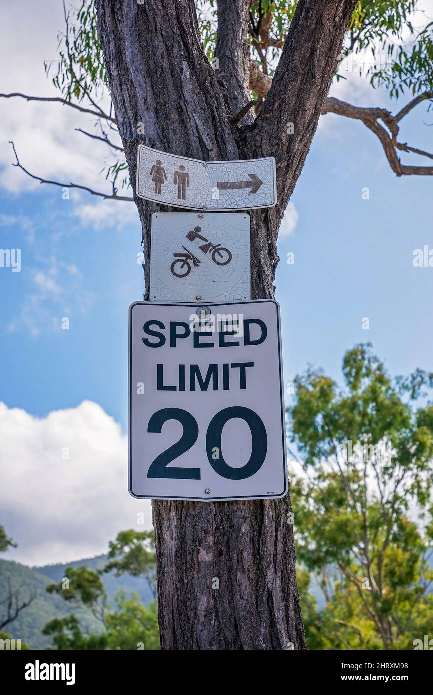 Signs nailed to a tree trunk in an outdoor free camping site showing the way to public toilets and indicating the speed limit. Stock Photo