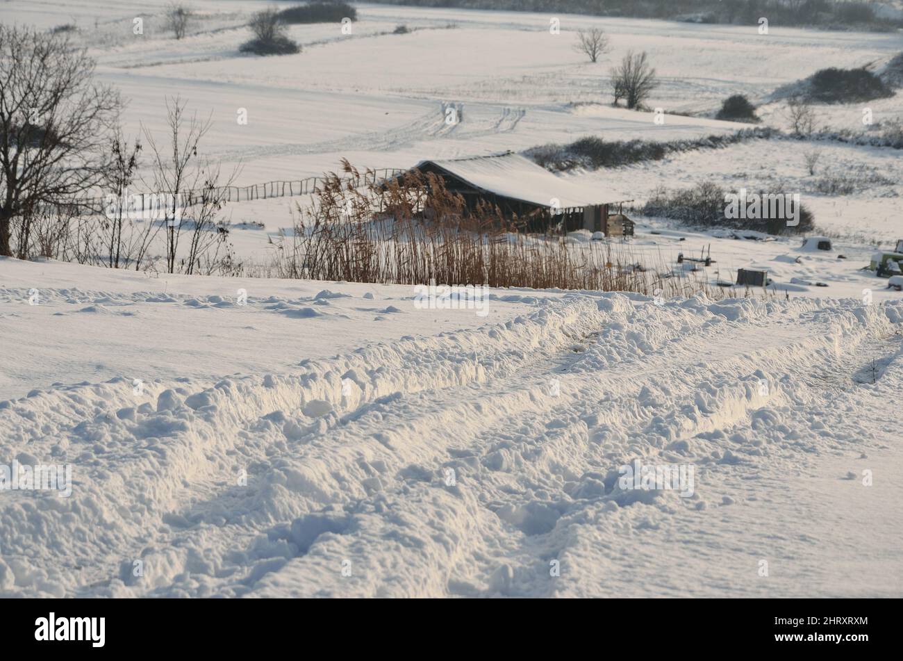 Selective of white snow covering a field in a rural area Stock Photo ...