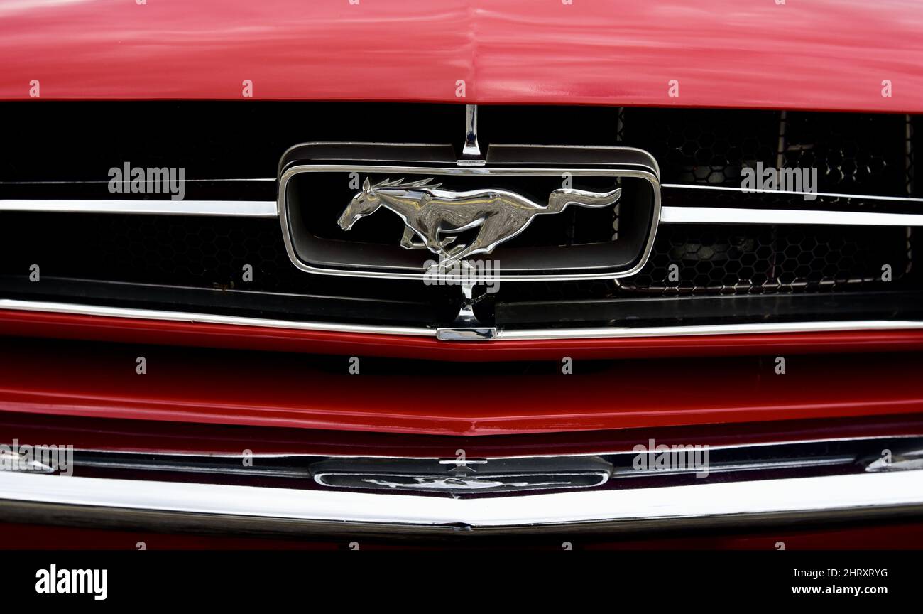 Mustang front clearance grille emblem