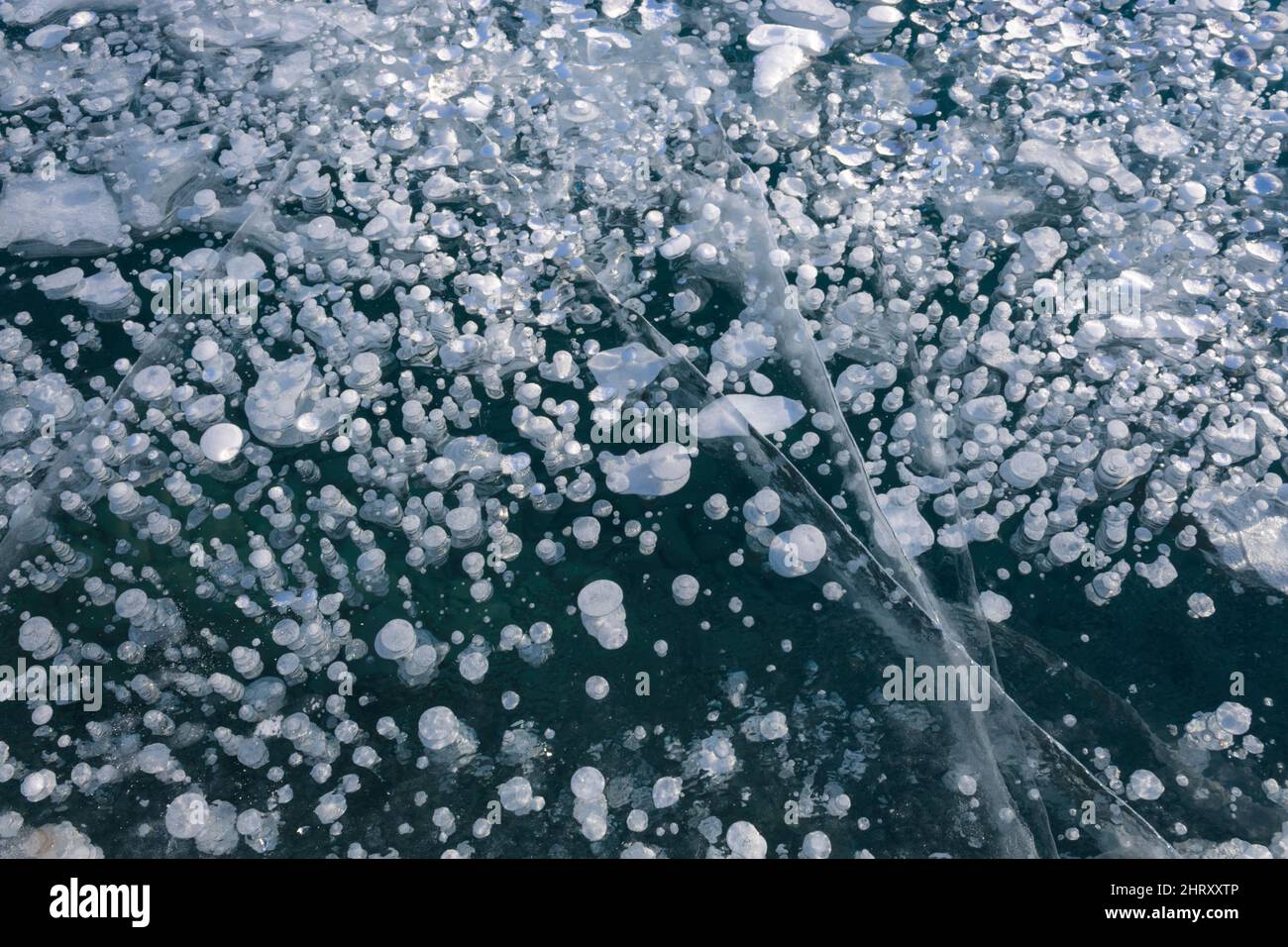 methane gas bubbles Abraham Lake Alberta Canada Stock Photo