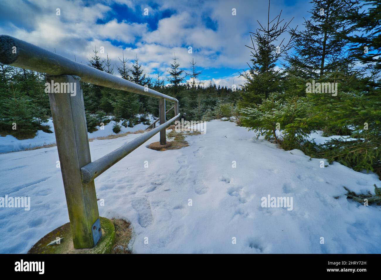 Snow-covered coniferous forest in a mountainside Stock Photo - Alamy