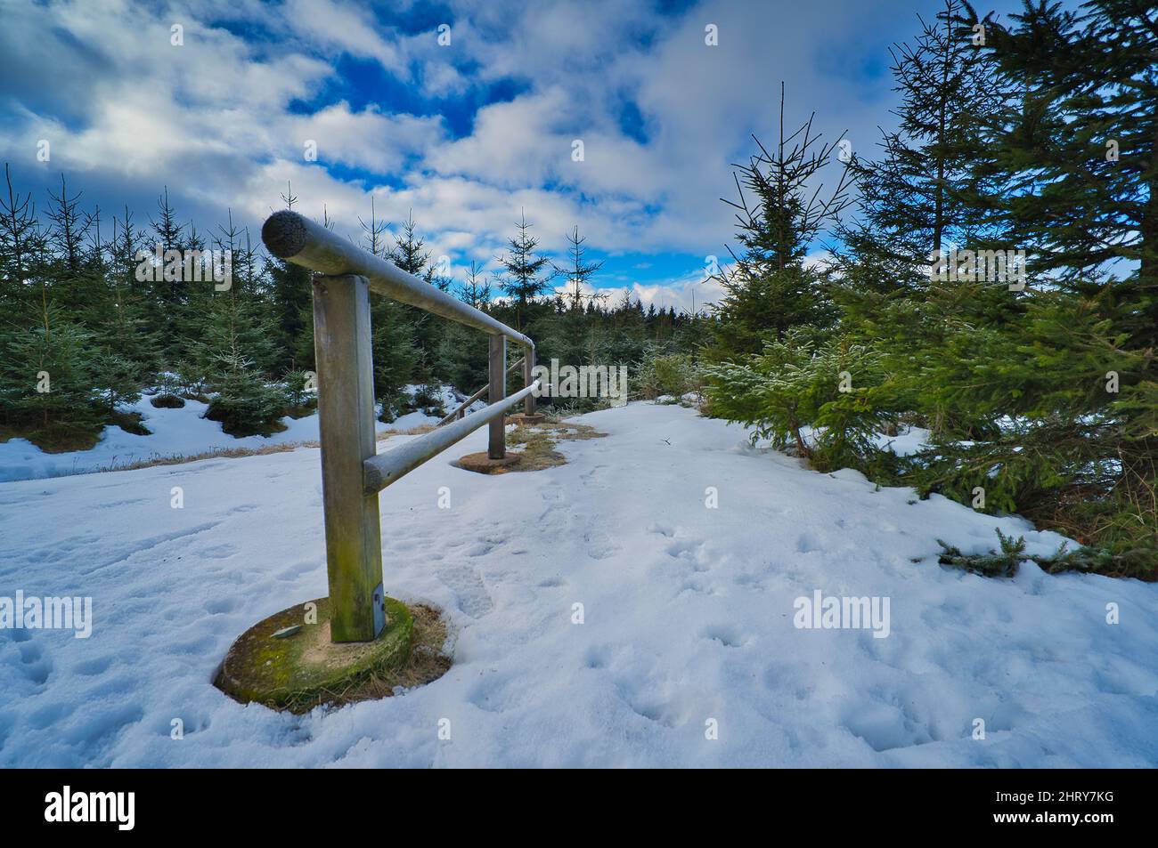 Snow-covered coniferous forest in a mountainside Stock Photo - Alamy