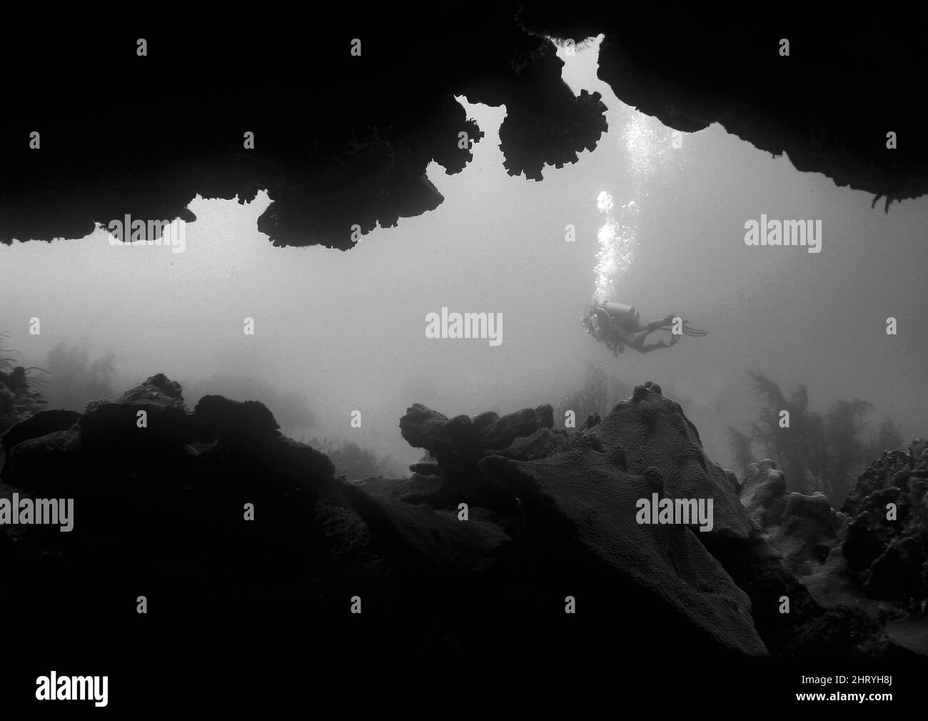 Black substance Black and White Stock Photos & Images - Alamy