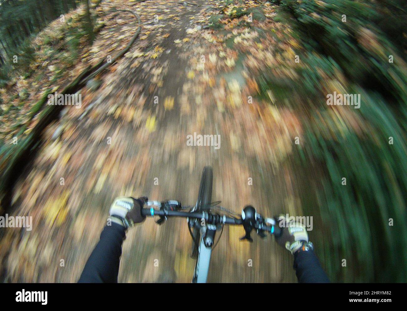 The fall leaves are seen on the ground as a mountain bikers ride is ...