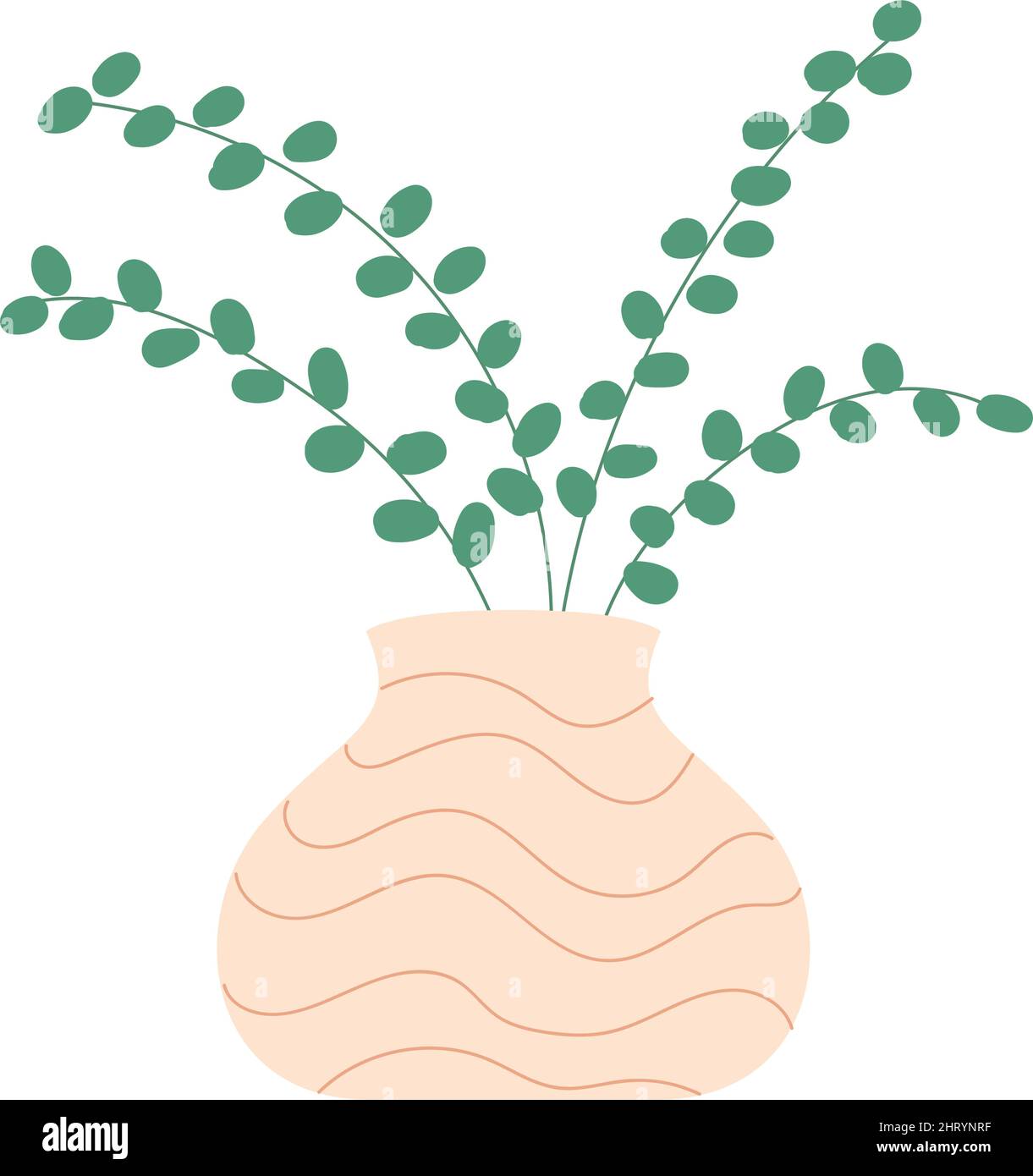 Isolated home plant Interior decoration Vector Stock Vector Image & Art ...