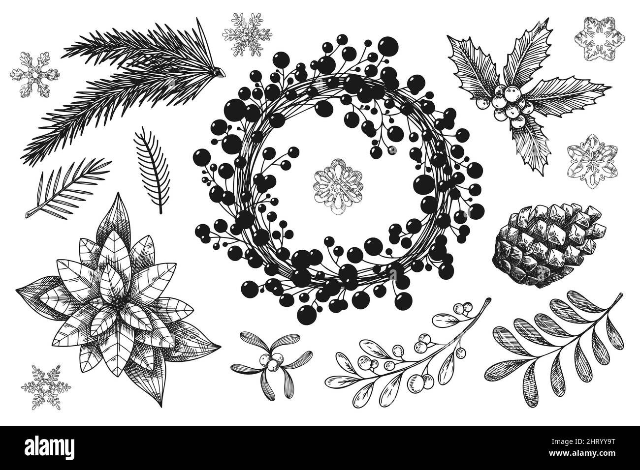 Christmas wreath and branches of different plants isolated on white background. Sketch, illustration by hand drawn Stock Vector