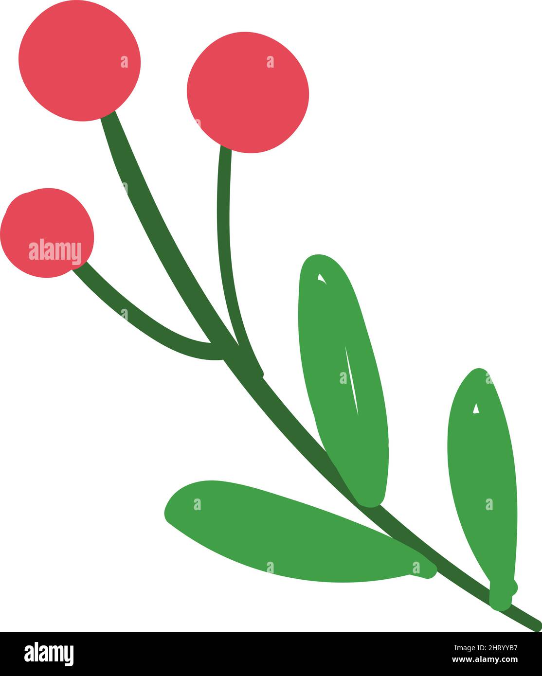 Isolated holly icon Christmas ornament Vector Stock Vector Image & Art ...