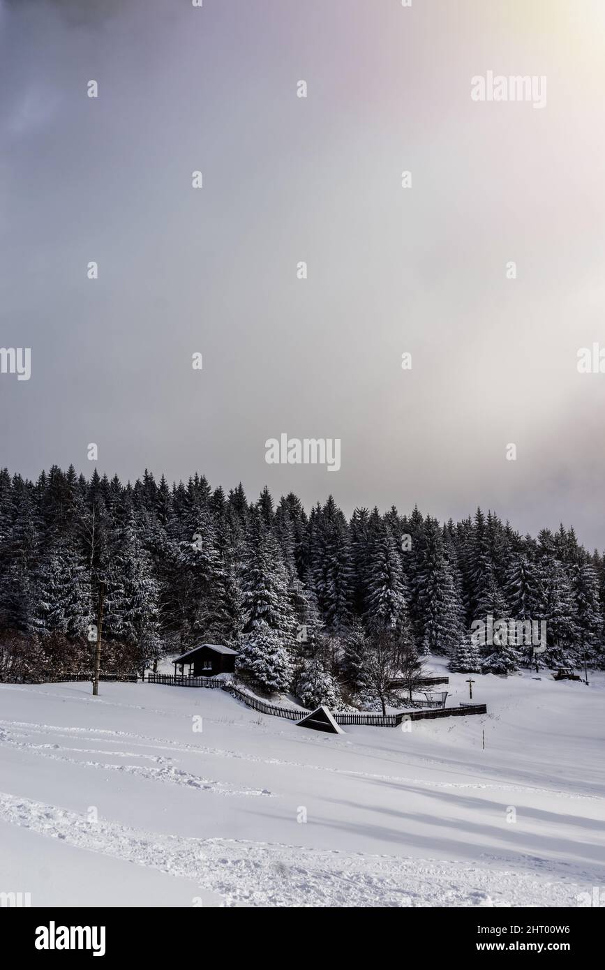 Rural wooden house in a snowy forest Stock Photo - Alamy