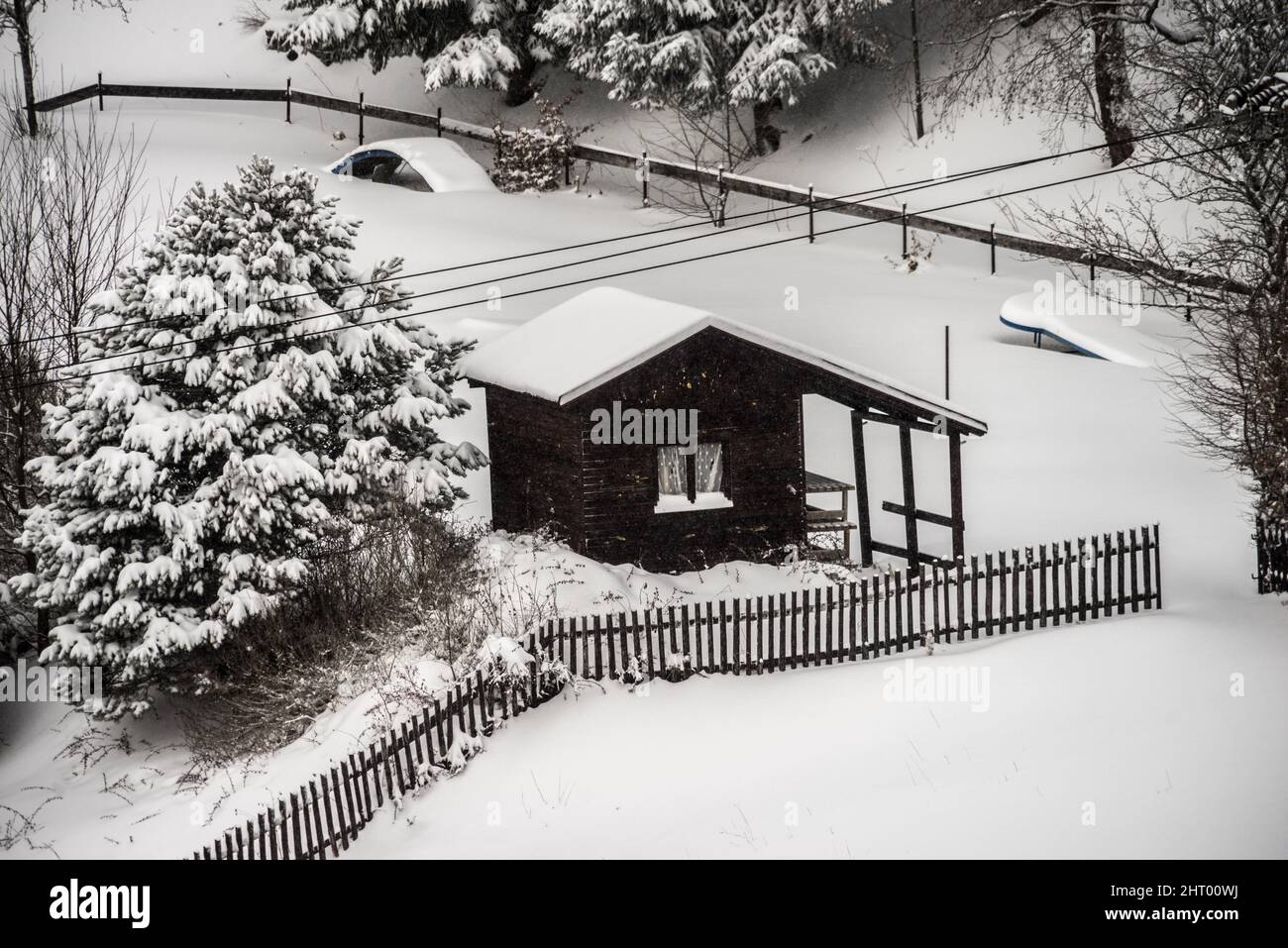 Rural wooden house in a snowy forest Stock Photo - Alamy