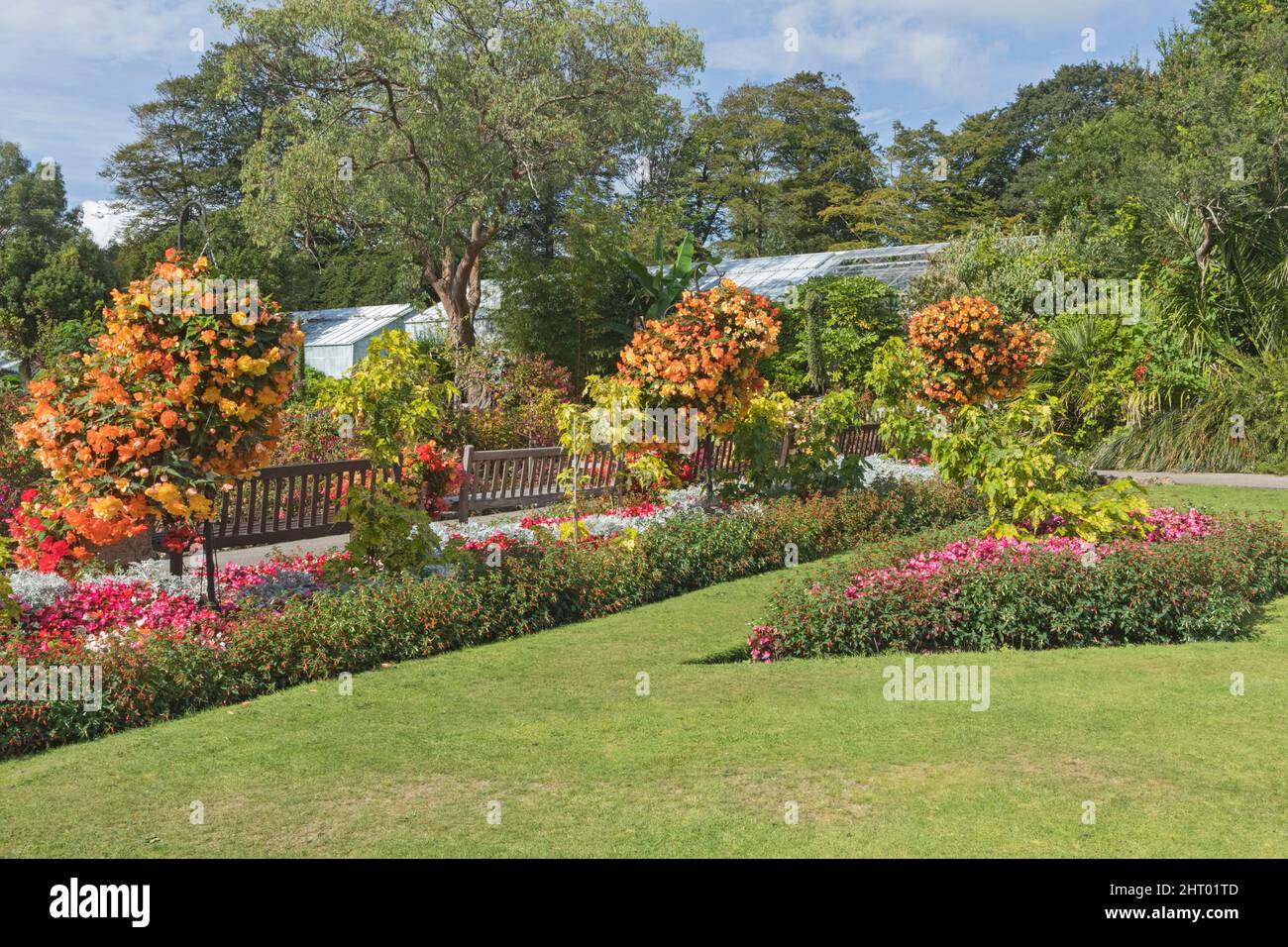 Botanical gardens, Singleton Park, Swansea, South Wales, UK Stock Photo