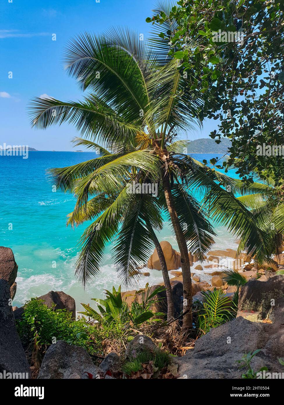 Empty sky tropical coast beach hi-res stock photography and images - Alamy