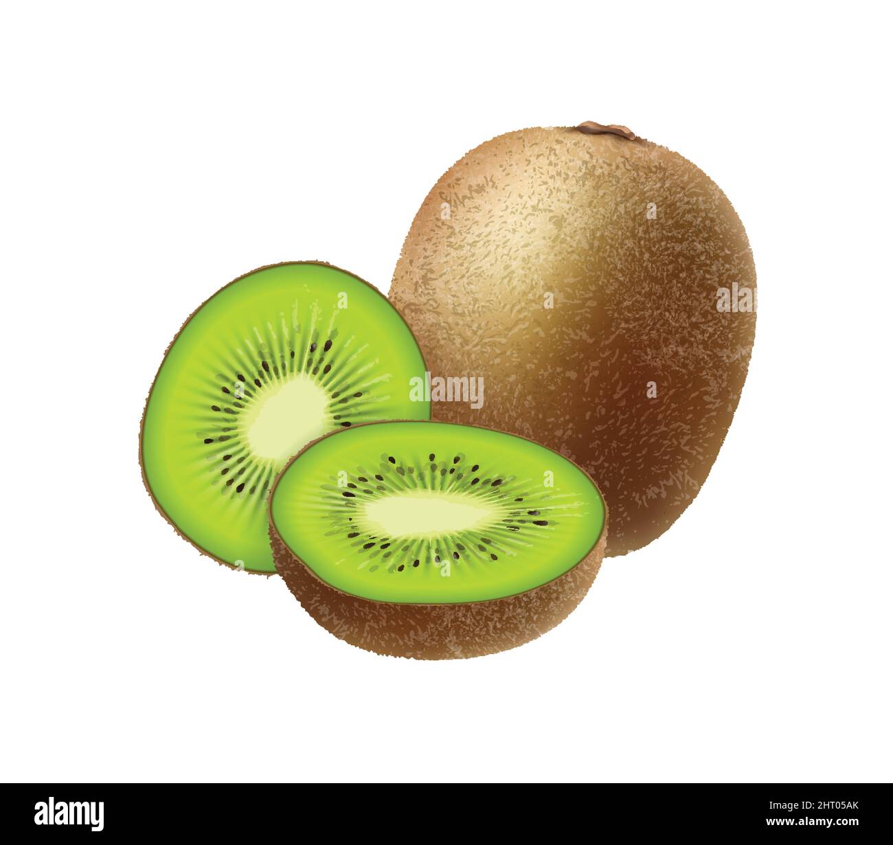 Realistic fruits composition with images of whole and sliced kiwi fruit on blank background vector illustration Stock Vector