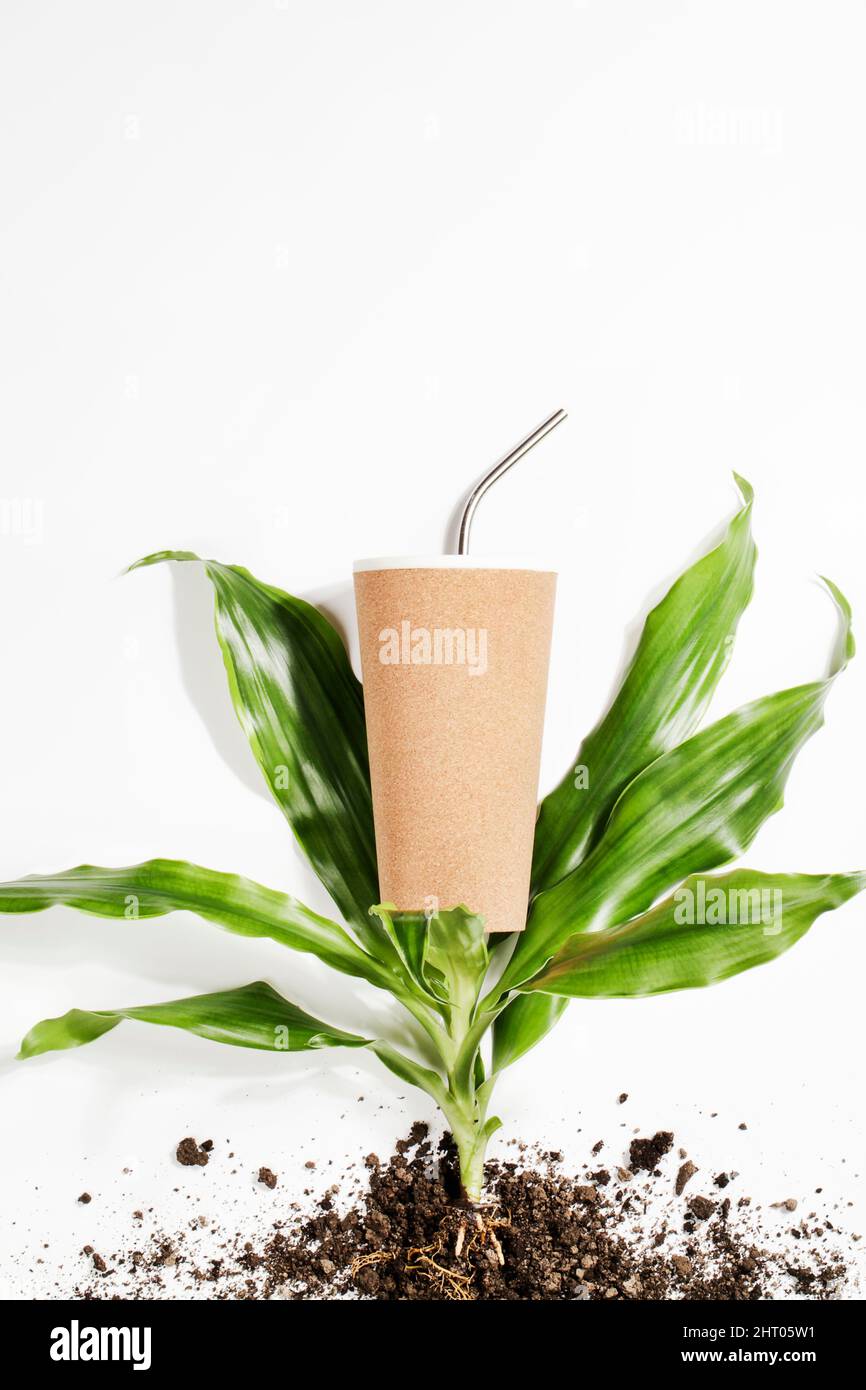 reusable eco coffee or tea cup, plant with roots in ground on white