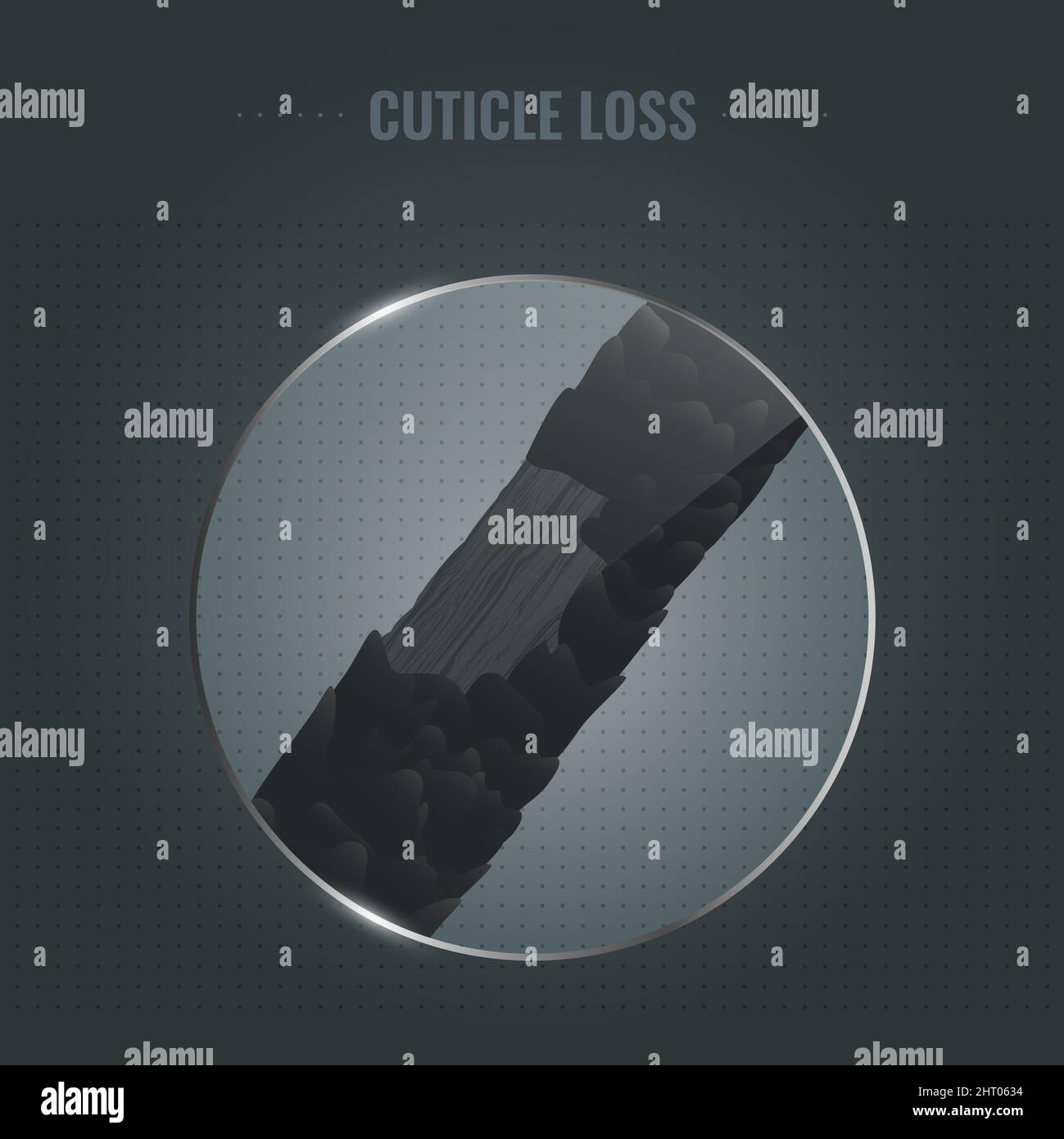 Damaged hair cuticle loss, illustration Stock Photo - Alamy
