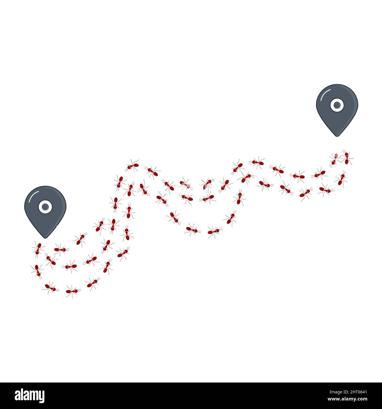 Tracking movement of ants, conceptual illustration Stock Photo