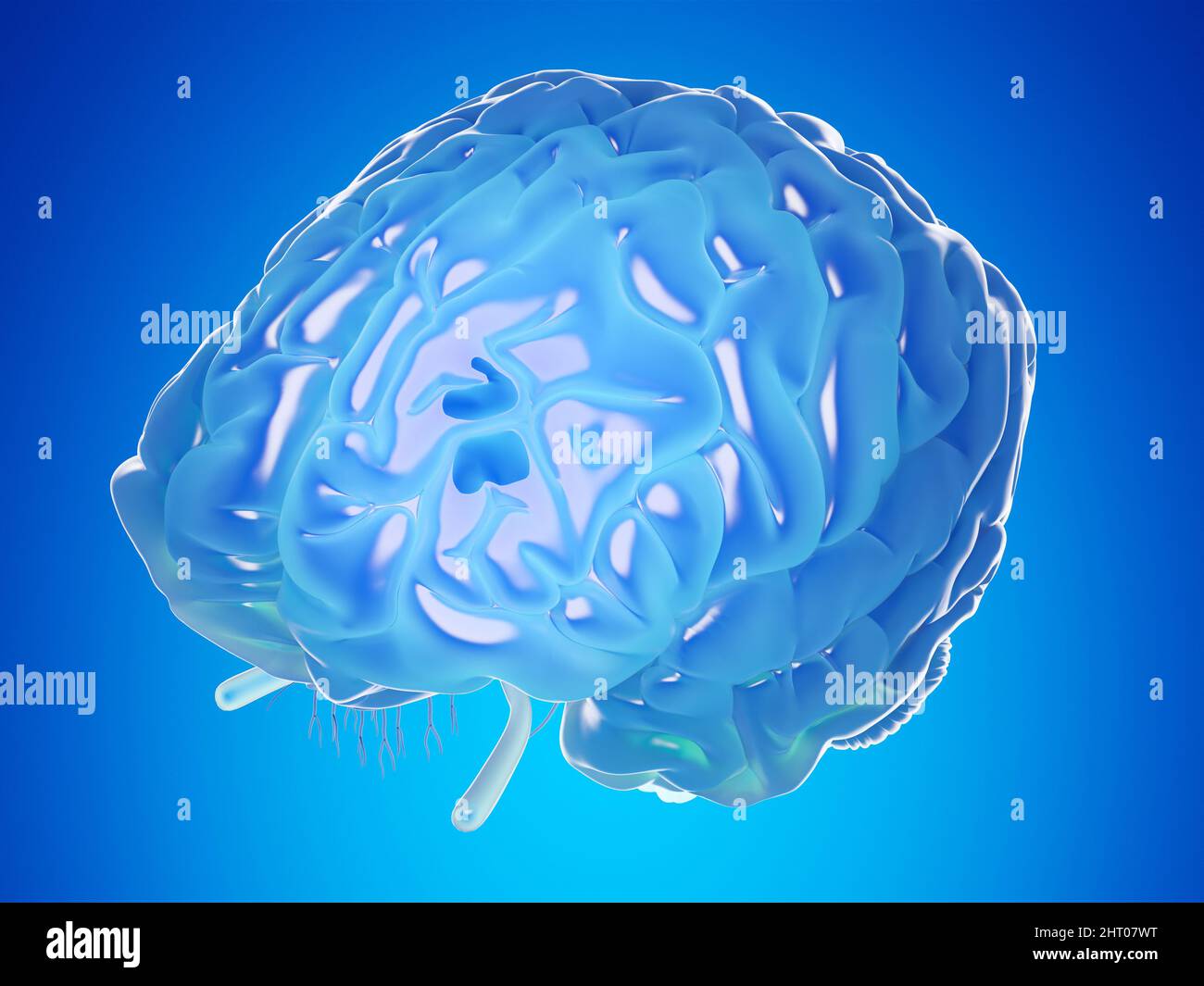 Illustration of a blue brain Stock Photo - Alamy