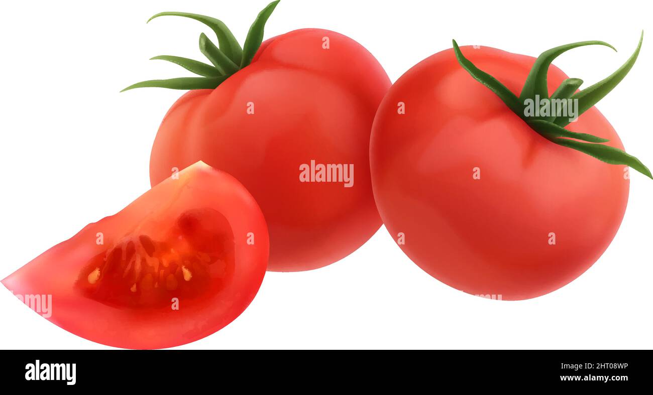 Realistic two red whole tomatoes and one slice on white background vector illustration Stock Vector
