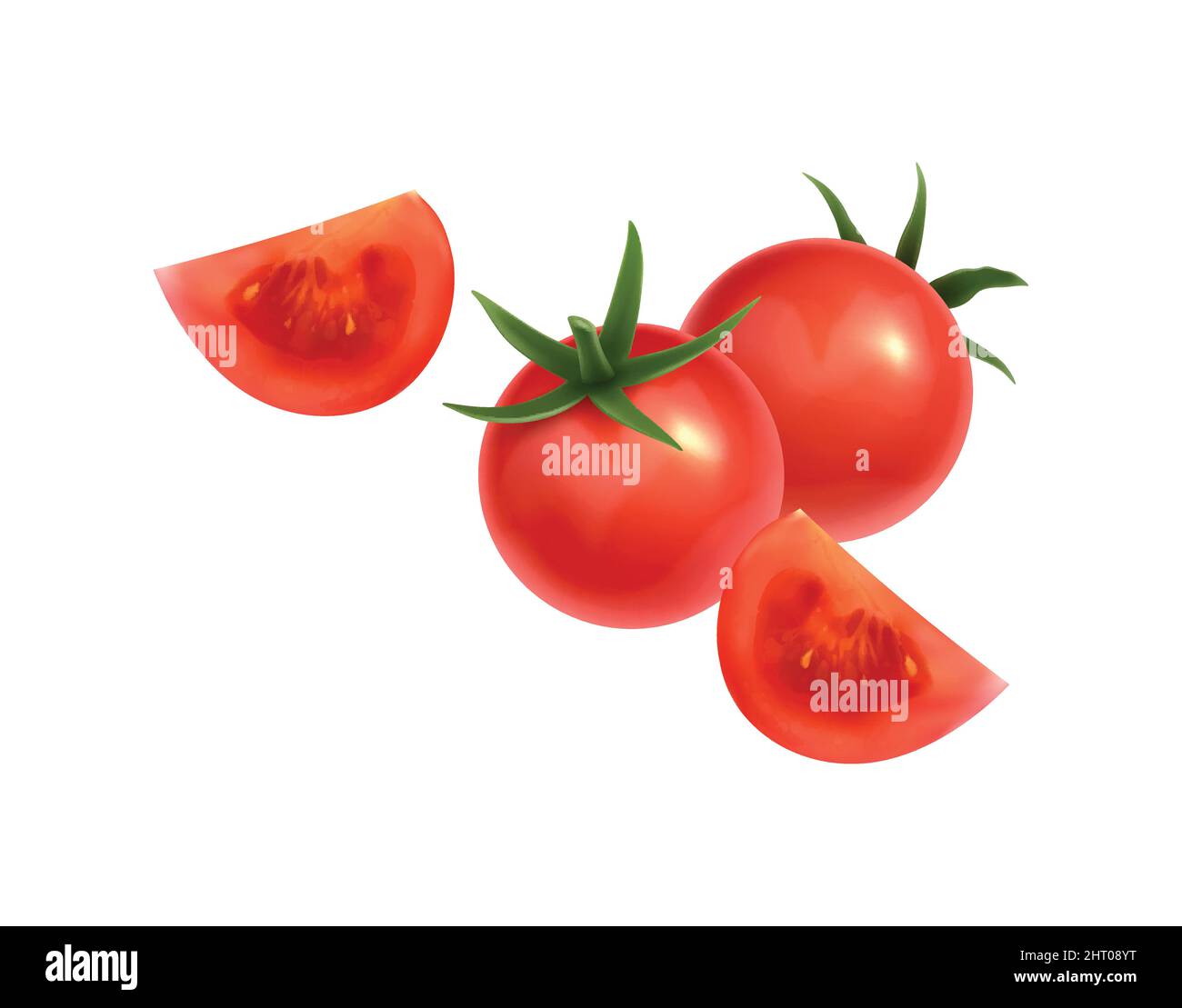Realistic icon with whole tomatoes and slices of red color vector illustration Stock Vector