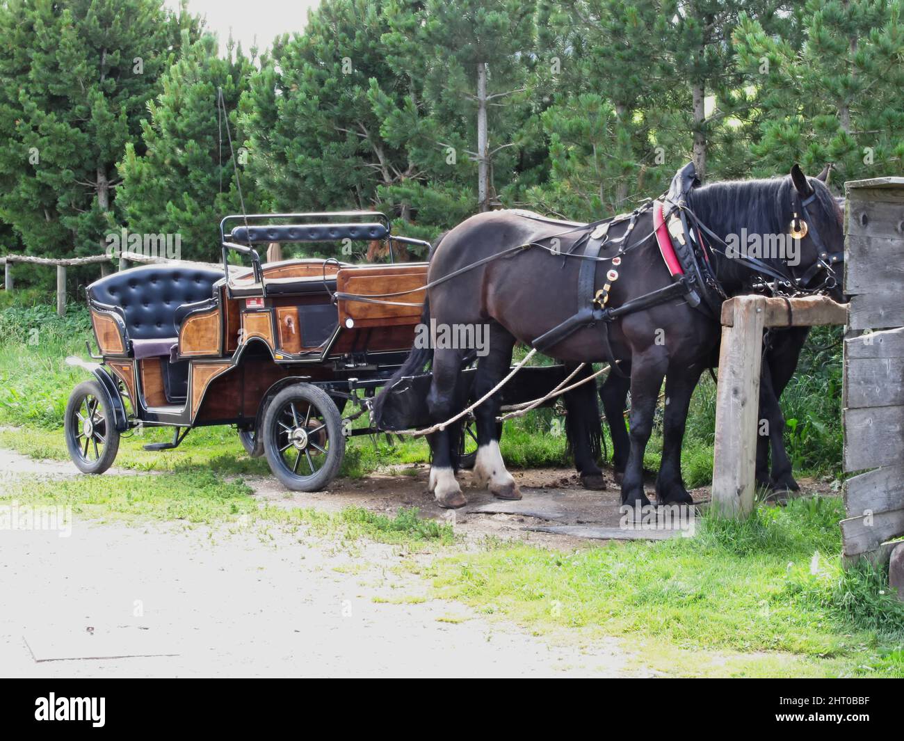 Closeup of a touristic horse-drawn calash waiting for clients Stock Photo