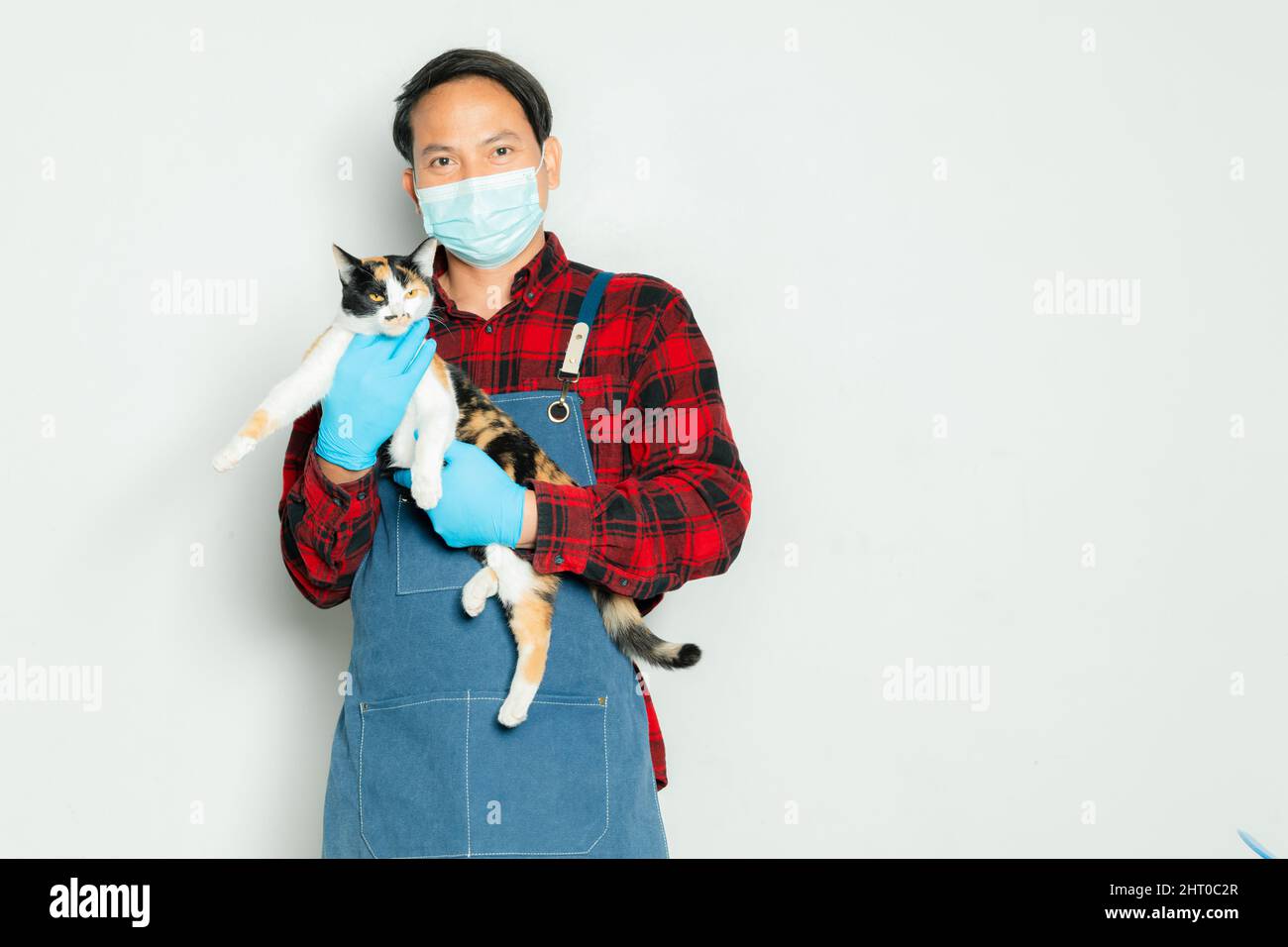 Pet owner affectionately holds a cat of 3 colors. Stock Photo
