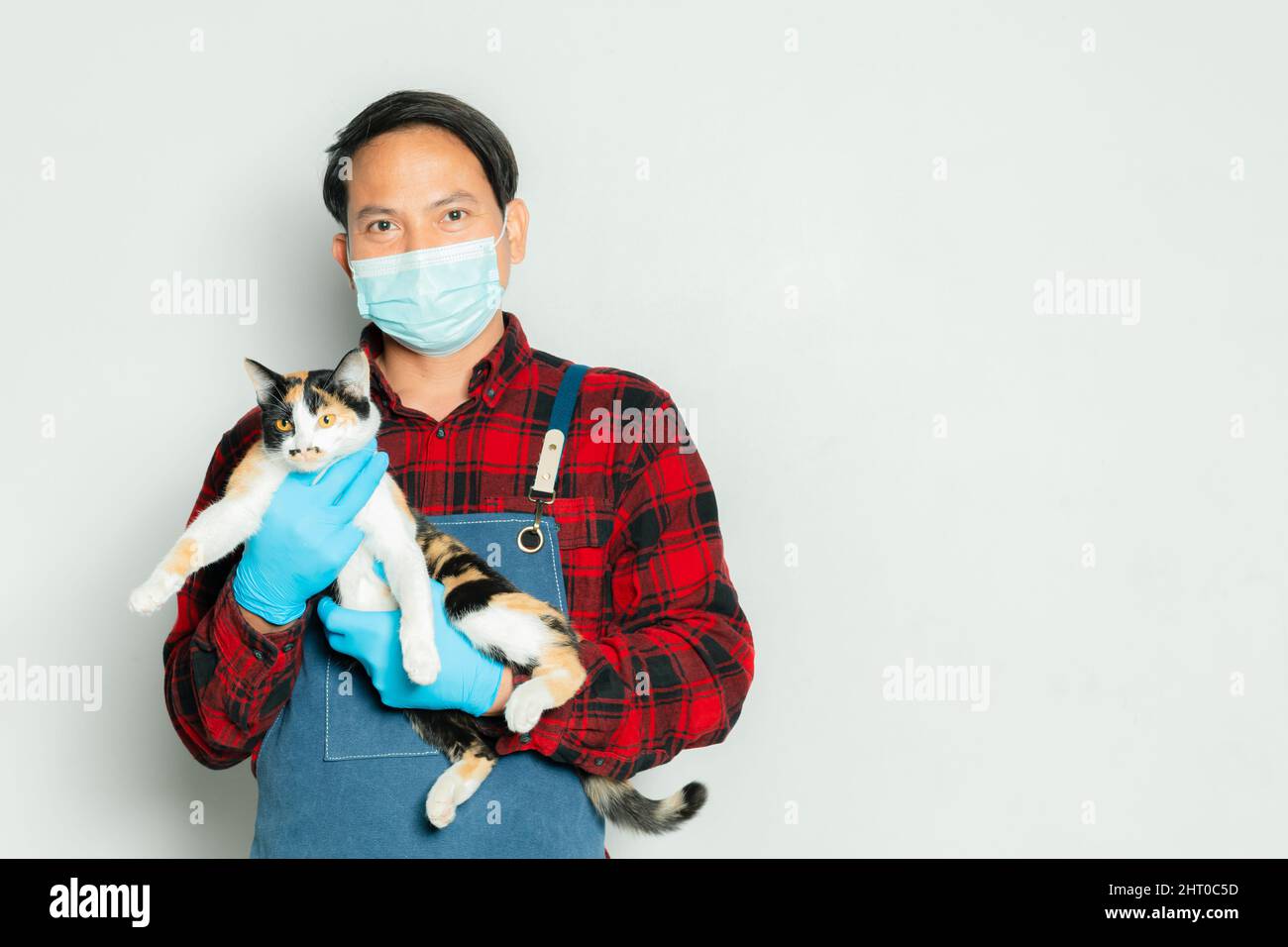 Pet owner affectionately holds a cat of 3 colors. Stock Photo