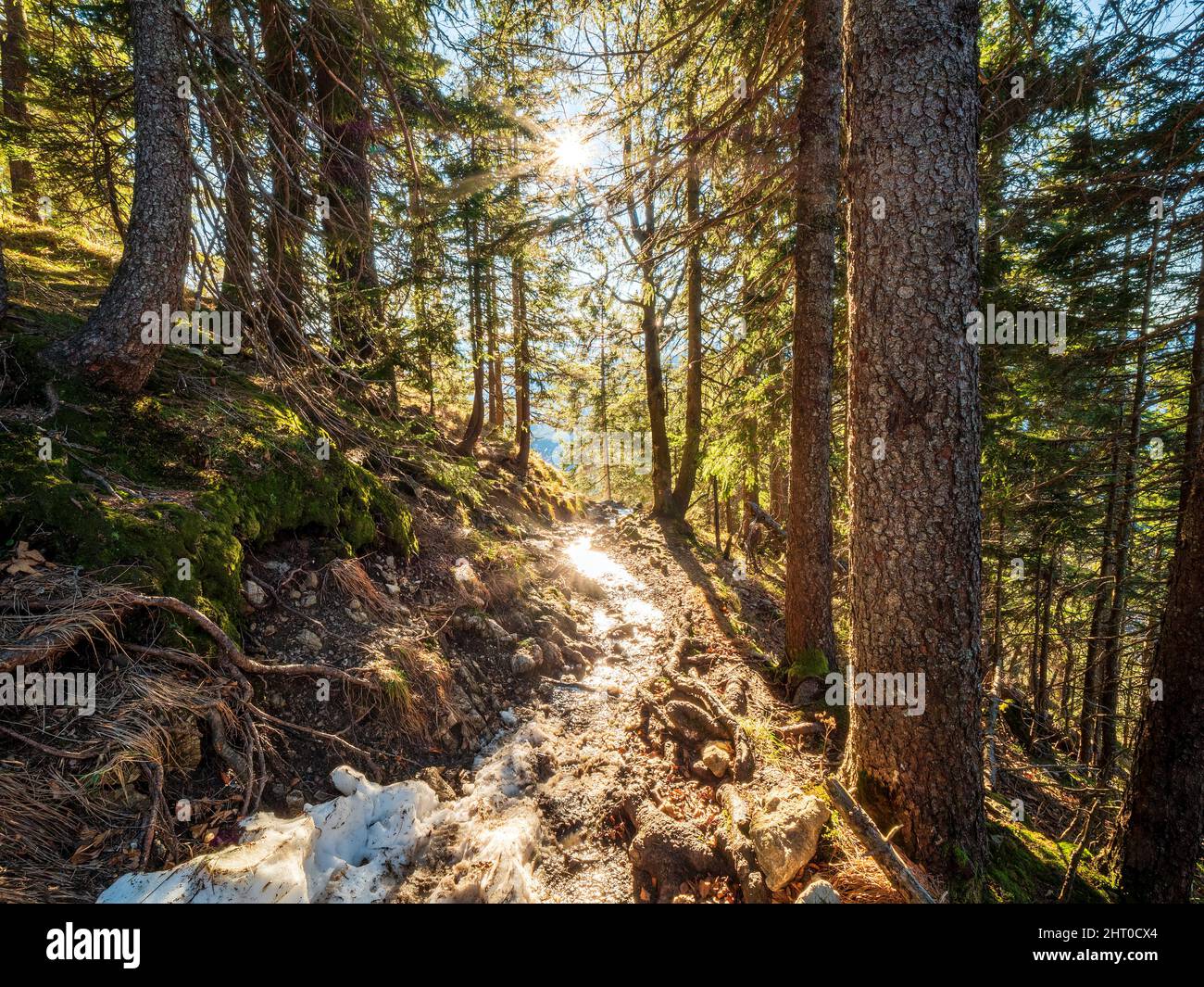 Pathway with the sun rays as the guidance for the right direction Stock ...