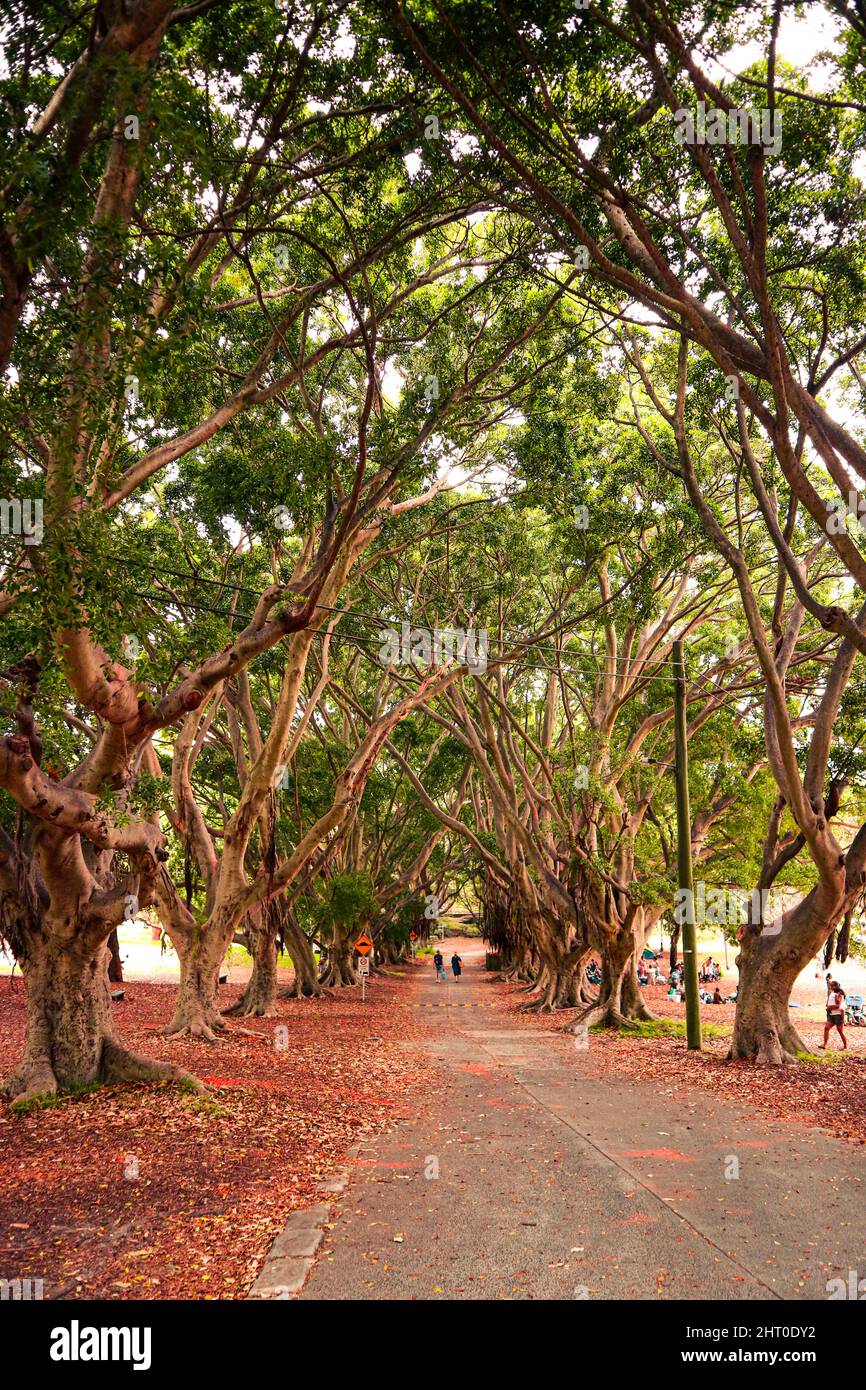 Closeup shot empty pathway hi-res stock photography and images - Alamy