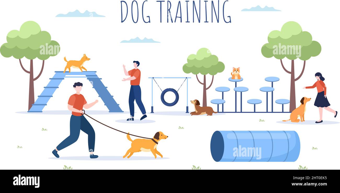 Dogs Training Center at Playground with Instructor Teaching Pets or Play for Tricks and Jumping