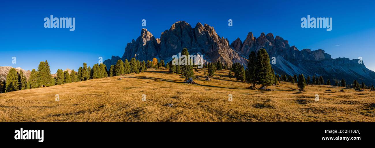 Panoramic view of north faces and summits of Odle group, seen from Malga Geisler in autumn. Stock Photo