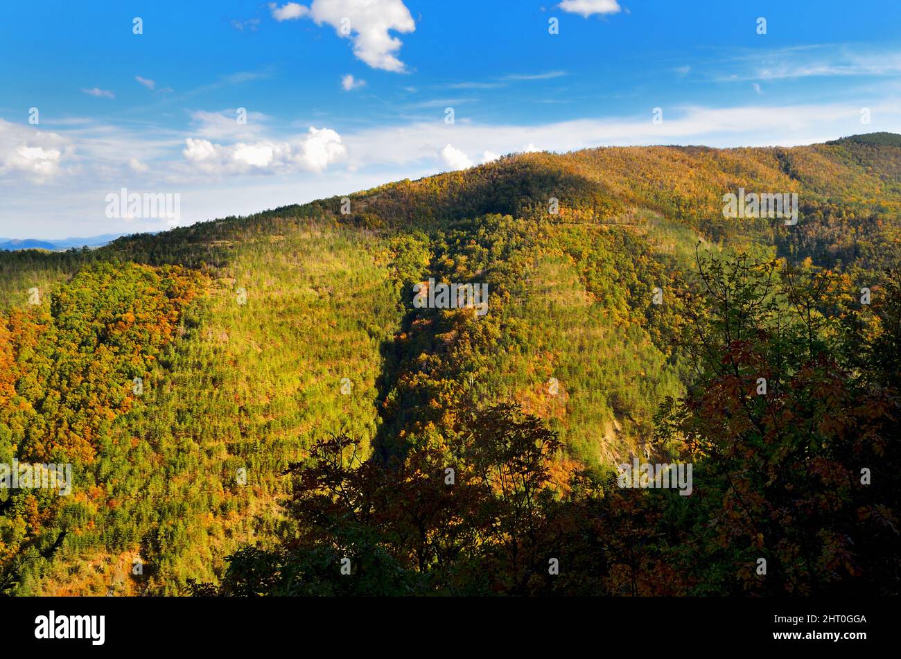 Distant view of the beautiful canyon, mountains and trees on a sunny ...