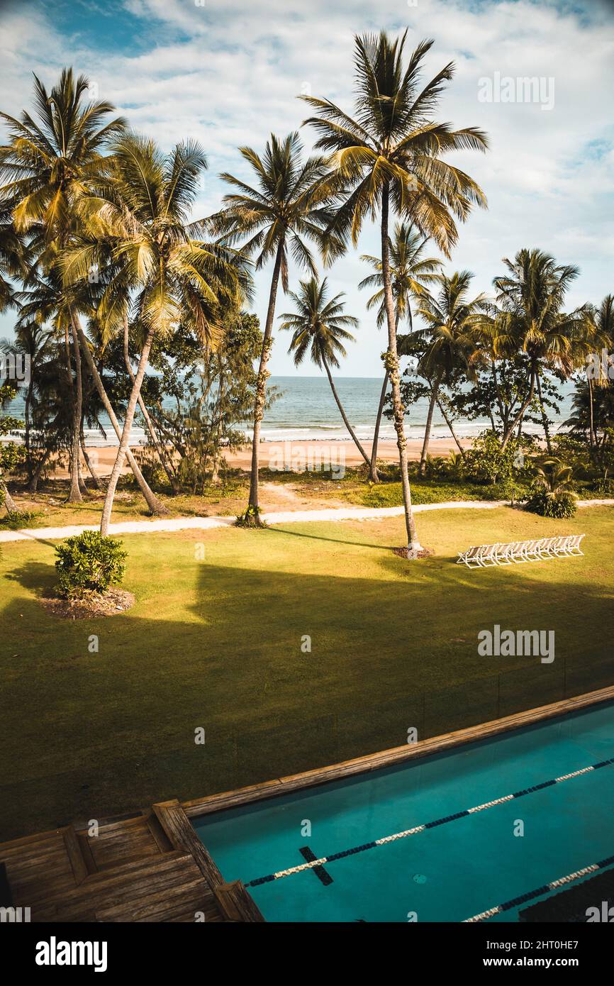 Beautiful vertical shot of a palm beach scene Stock Photo
