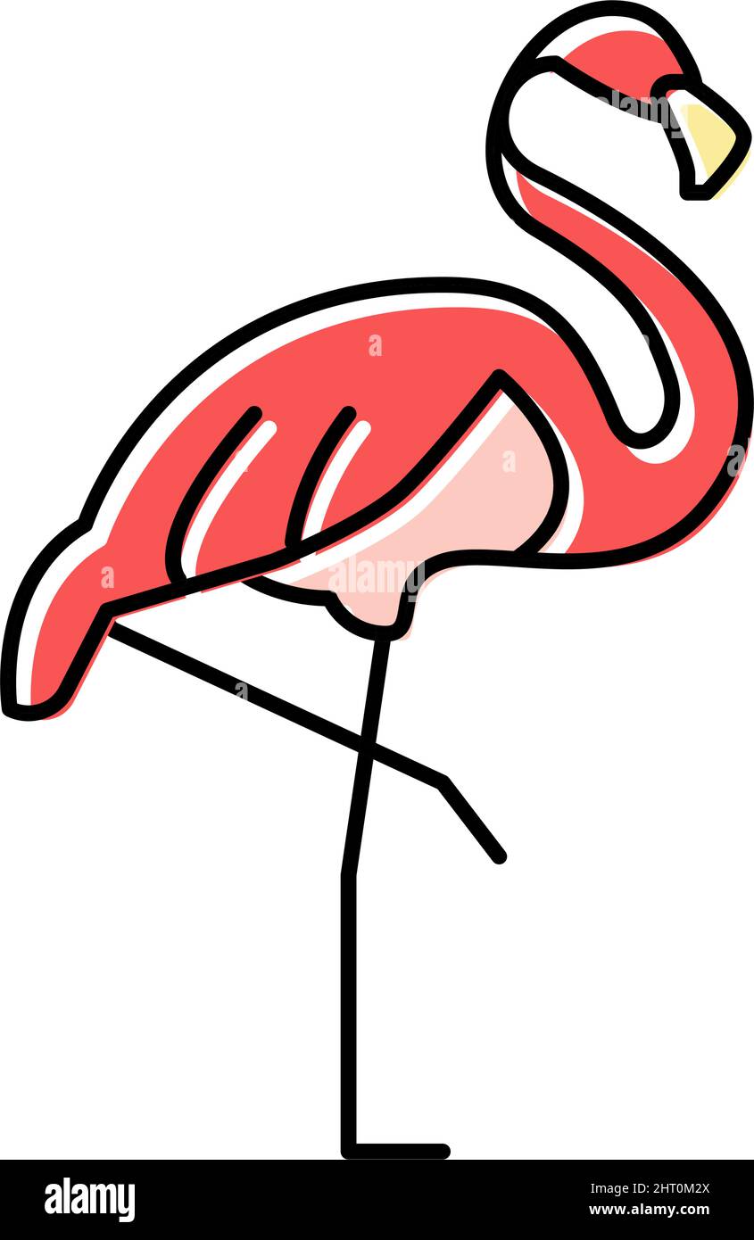 flamingo bird in zoo color icon vector illustration Stock Vector Image ...