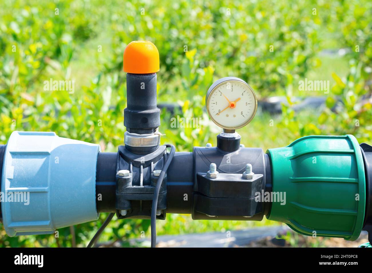 Close-up of the berries farm drip irrigation system control components. Stock Photo