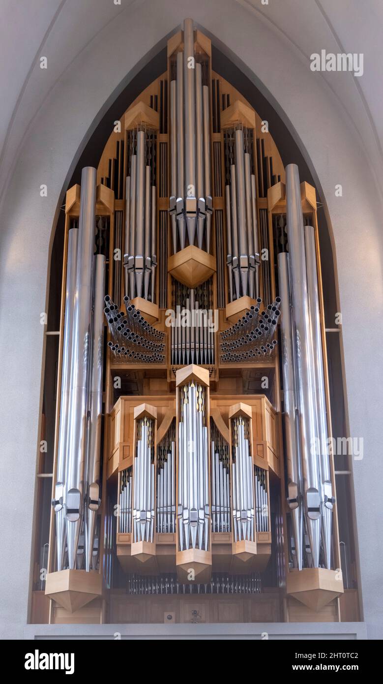 Best pipe organ builders deals