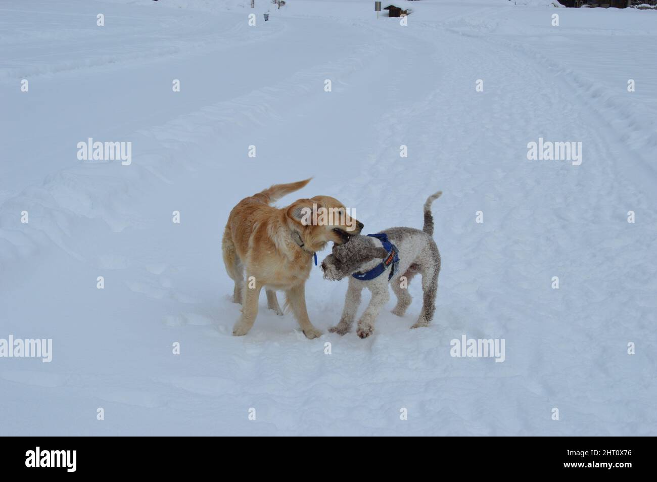 Stubaital Stock Photo