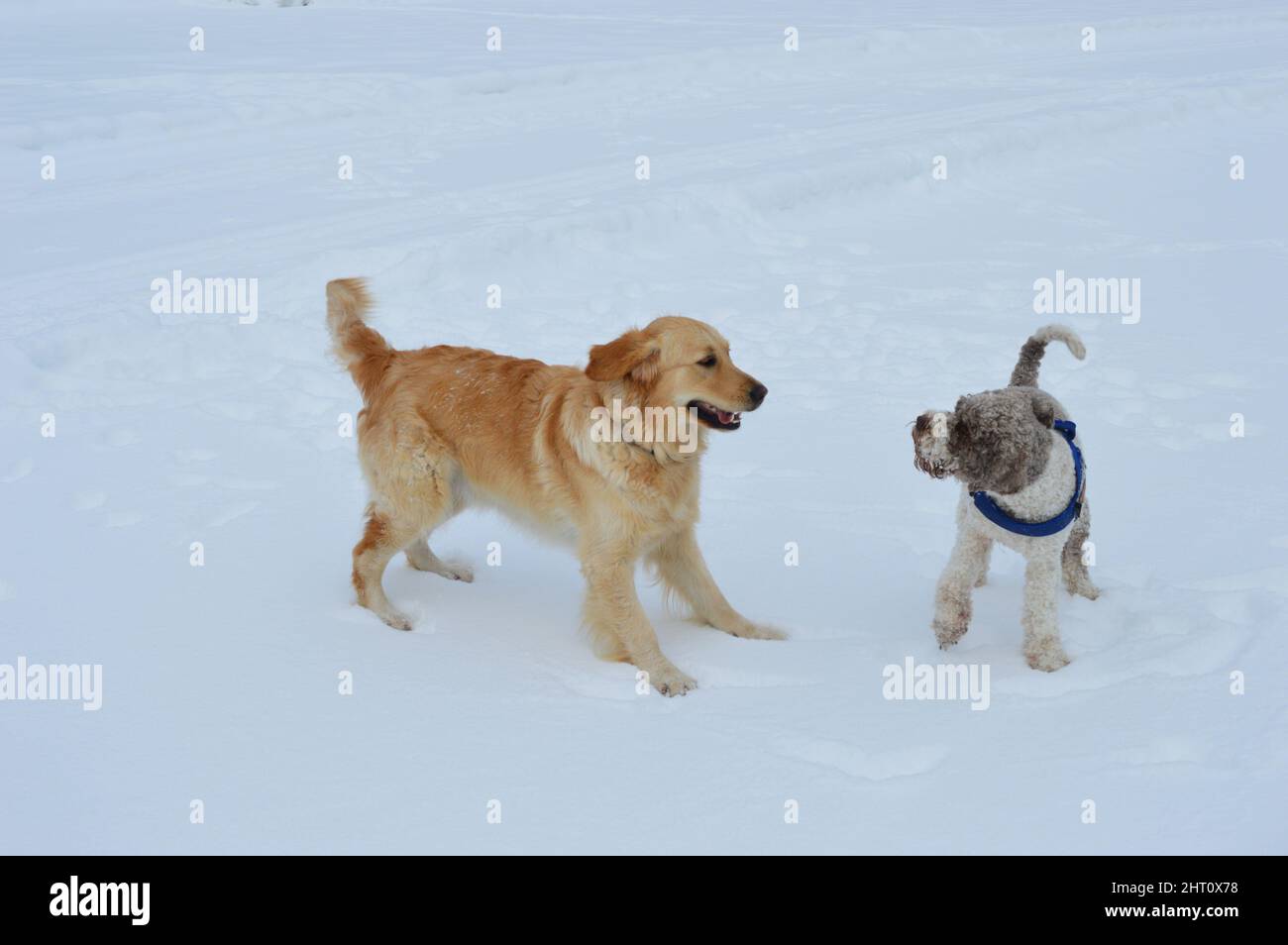 Stubaital Stock Photo