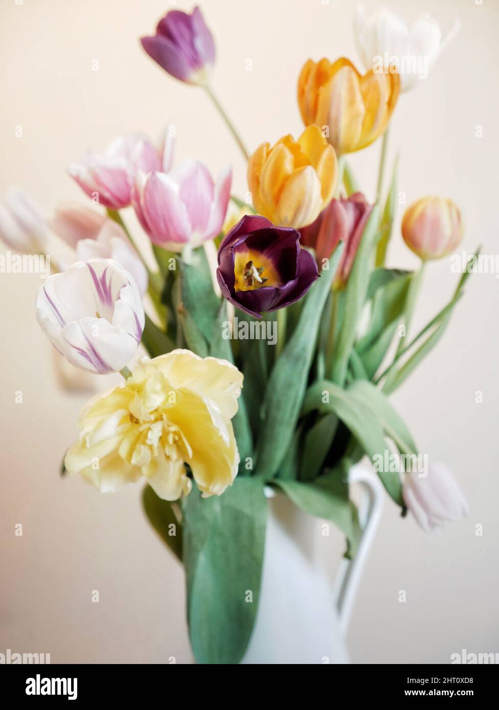 Pastel coloured flowers Stock Photo