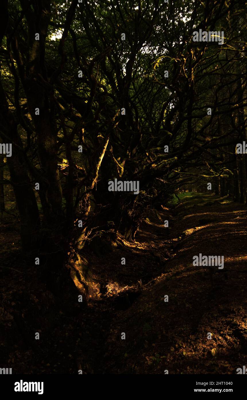 Mountain trekking path leads hi-res stock photography and images - Alamy
