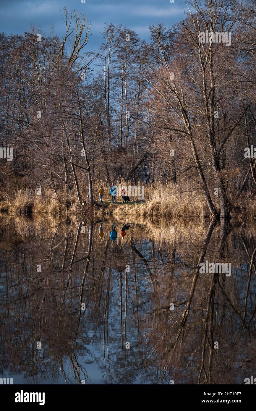 Trees are reflected in the water at a lake Stock Photo - Alamy