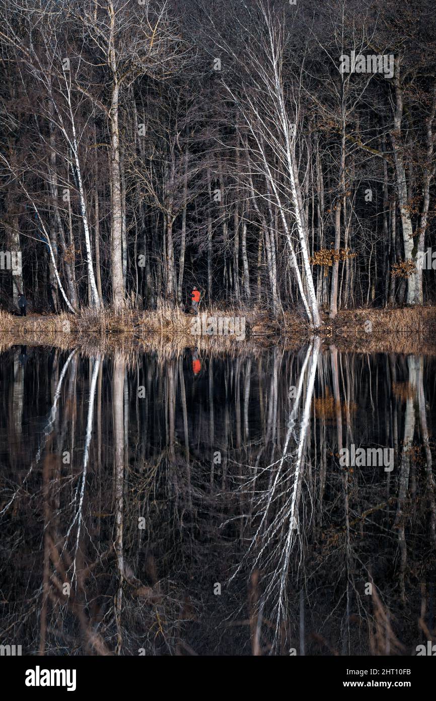 Trees reflection in the lake Stock Photo - Alamy