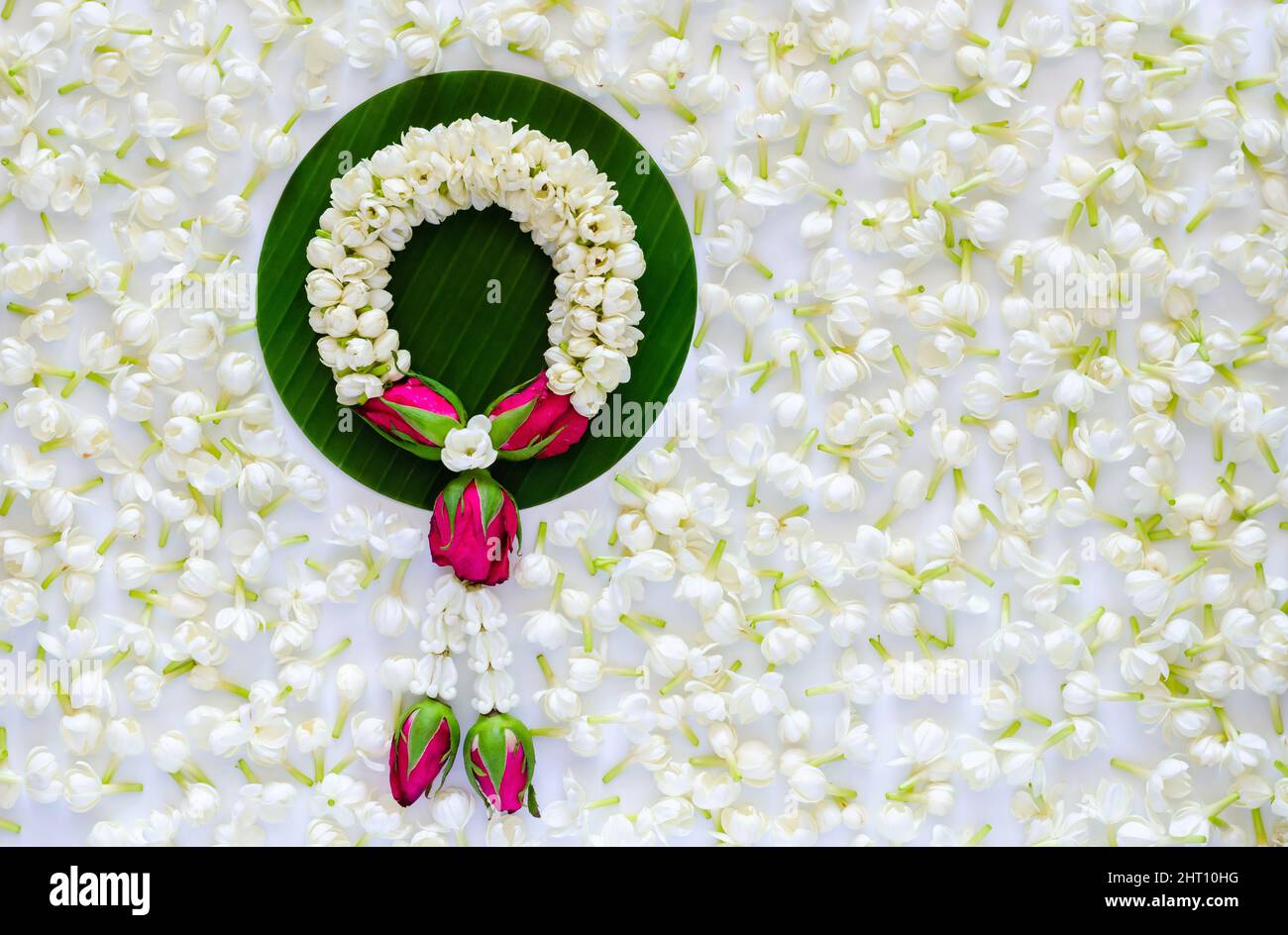 Jasmine garland puts on banana leaf with blooming jasmine flowers background for Songkran festival concept. Stock Photo