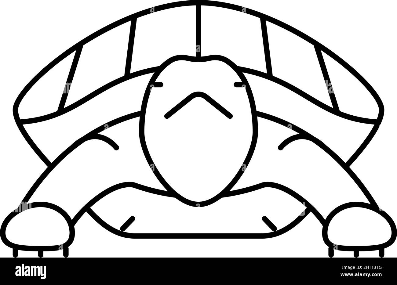 turtle tropical line icon vector illustration Stock Vector Image & Art ...