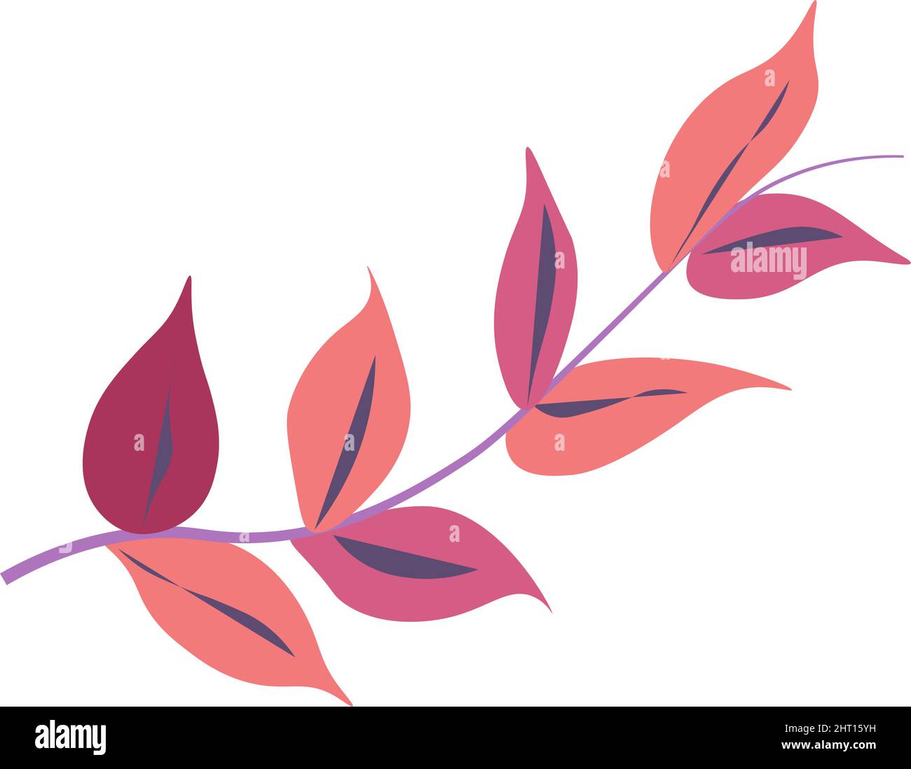 Exotic leaf, decorative foliage branches vector Stock Vector Image