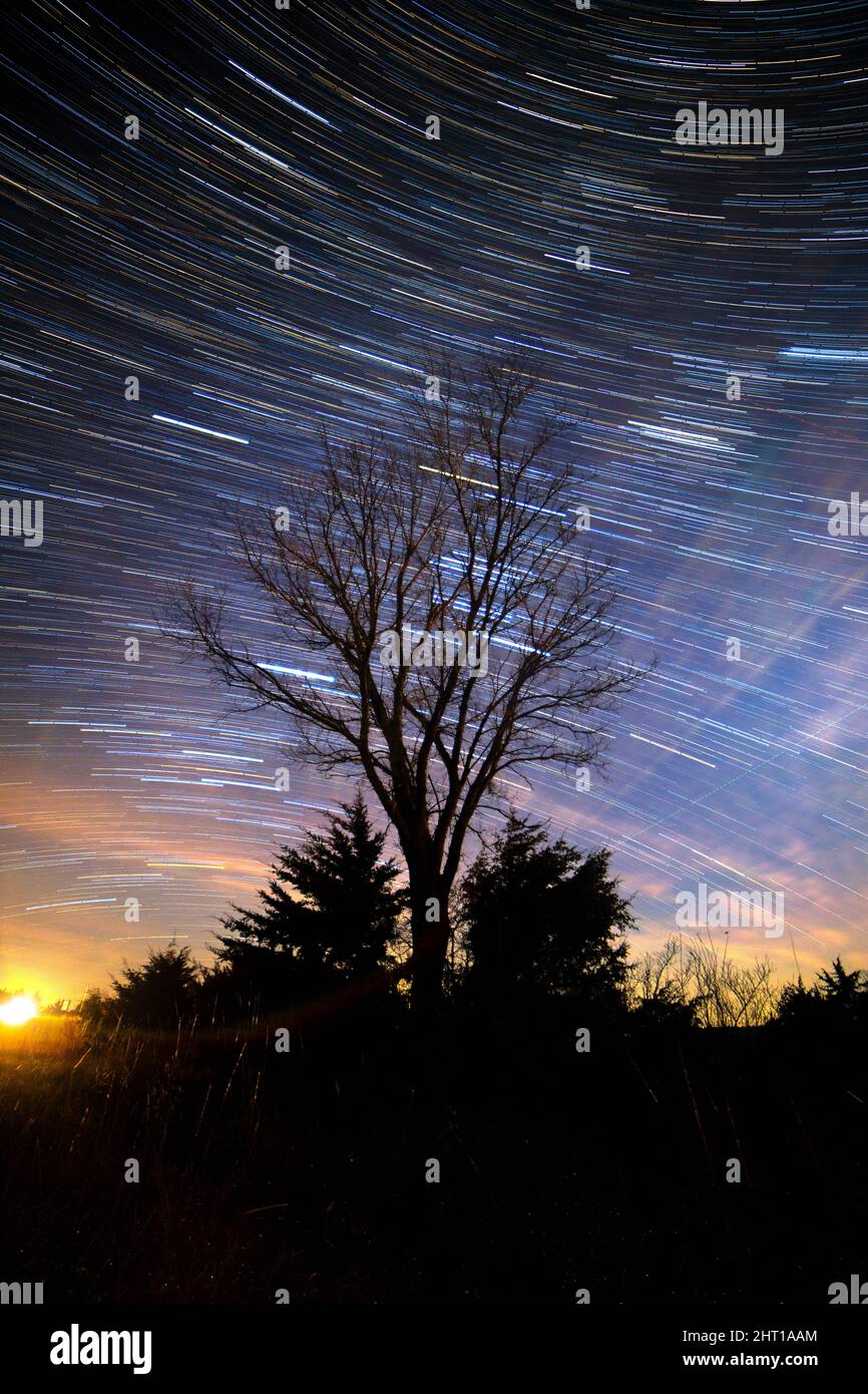 Star trails above trees hi-res stock photography and images - Alamy