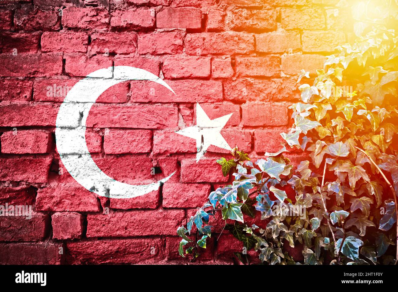 Turkey grunge flag on brick wall with ivy plant sun haze view, country symbol concept Stock Photo