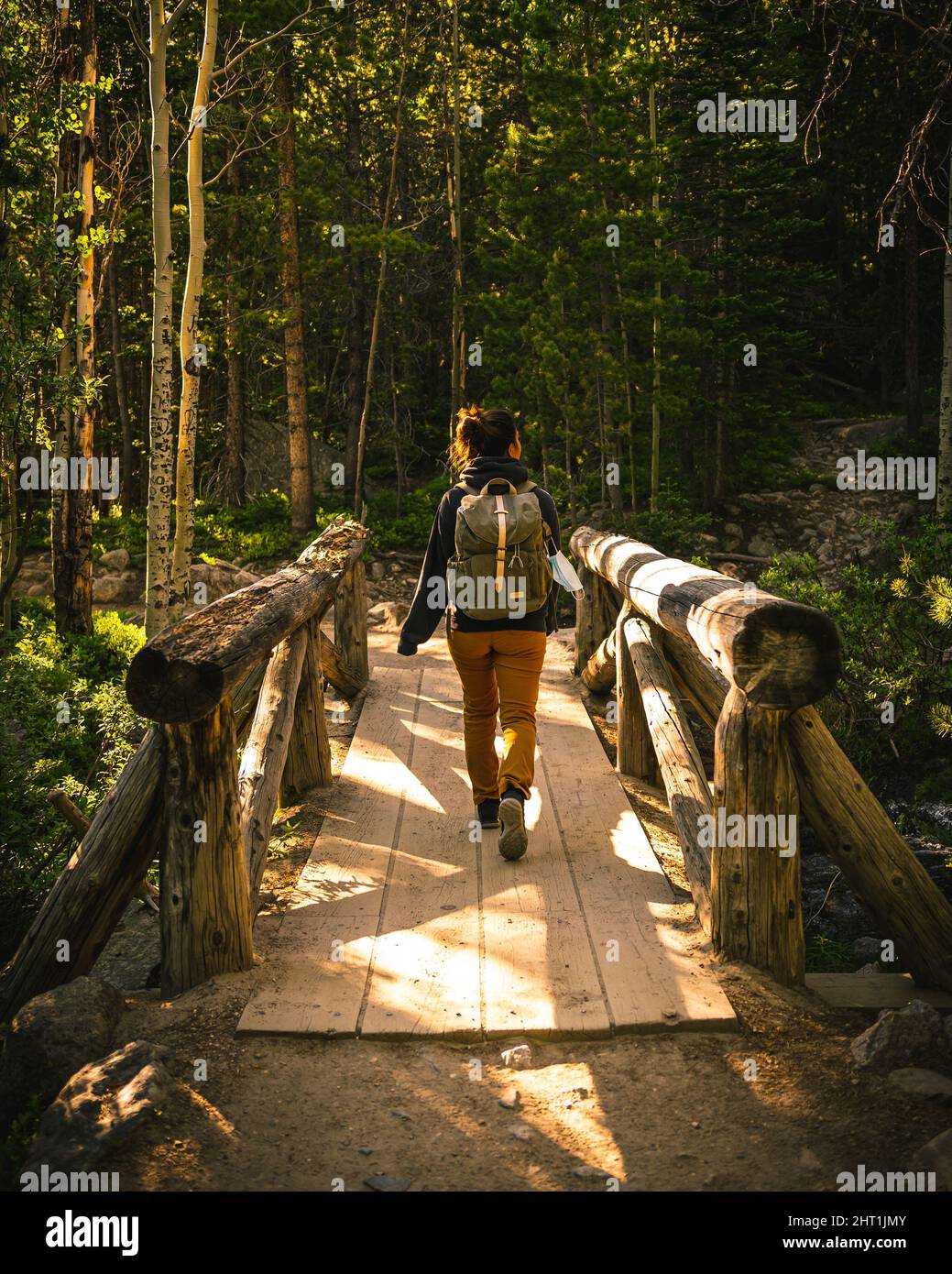 Vertical back view of a female hiker walking through a wooden bridge in ...