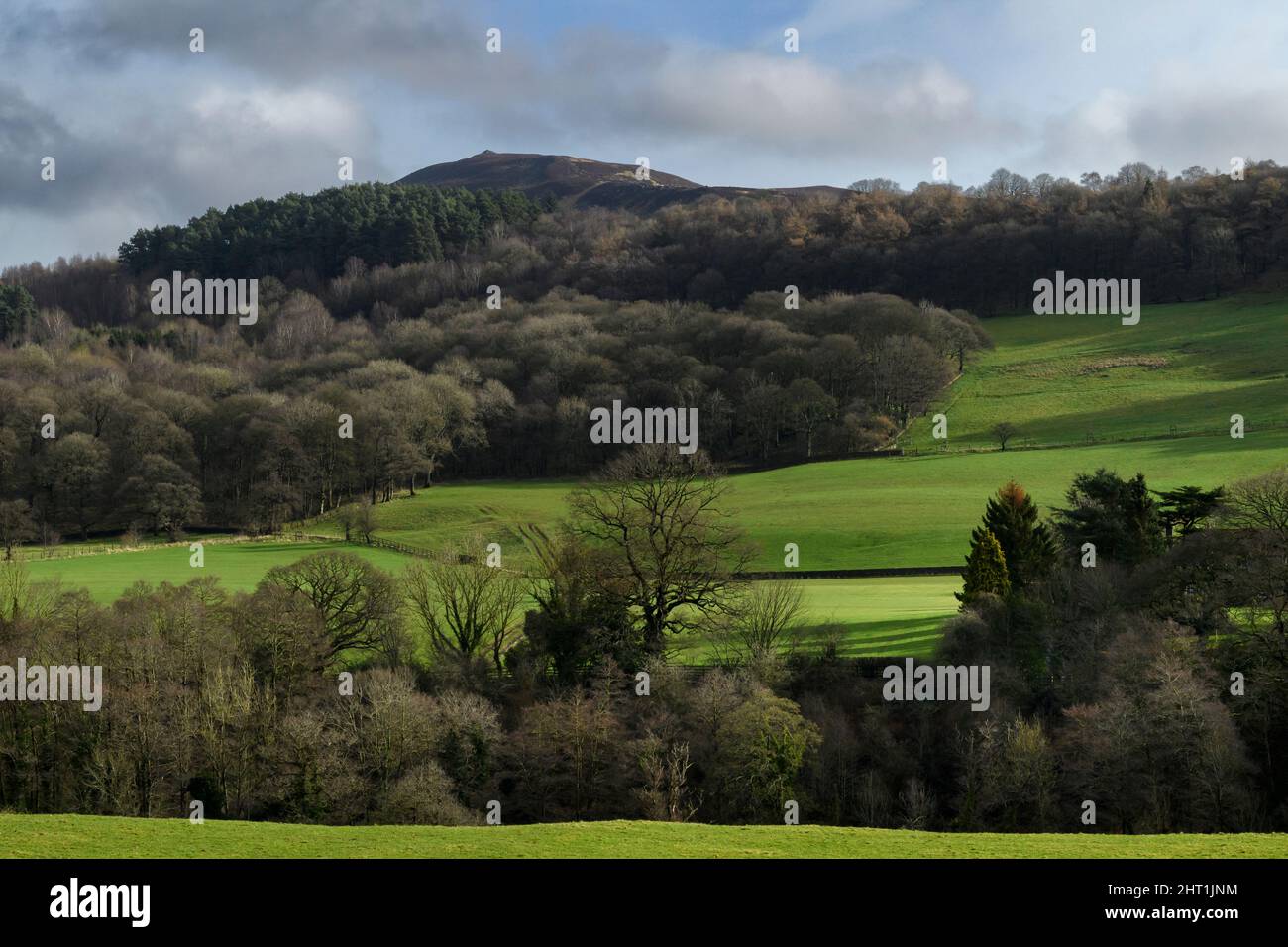 Scenic rural view of forested valley side, woodland trees on steep hillside, upland fells & high summit of Howber Hill - North Yorkshire, England, UK. Stock Photo
