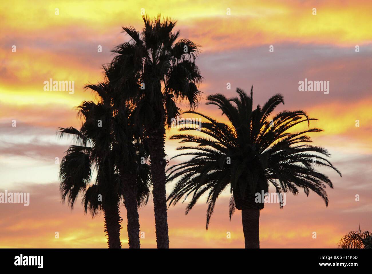 Beautiful Windansea Beach La Jolla Ca Sunset Stock Photo Alamy